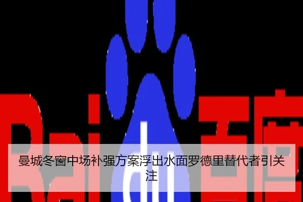 曼城冬窗中场补强方案浮出水面罗德里替代者引关注