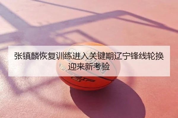 张镇麟恢复训练进入关键期辽宁锋线轮换迎来新考验